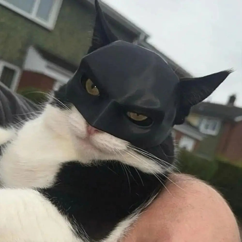 TONG New 5 Sizes Cat Bat Cool Man Mask Cat Avenger Mask Cute Bat Mask Pet Superhero Hat Cat Bat Cool Man Mask for Cat and Dogs